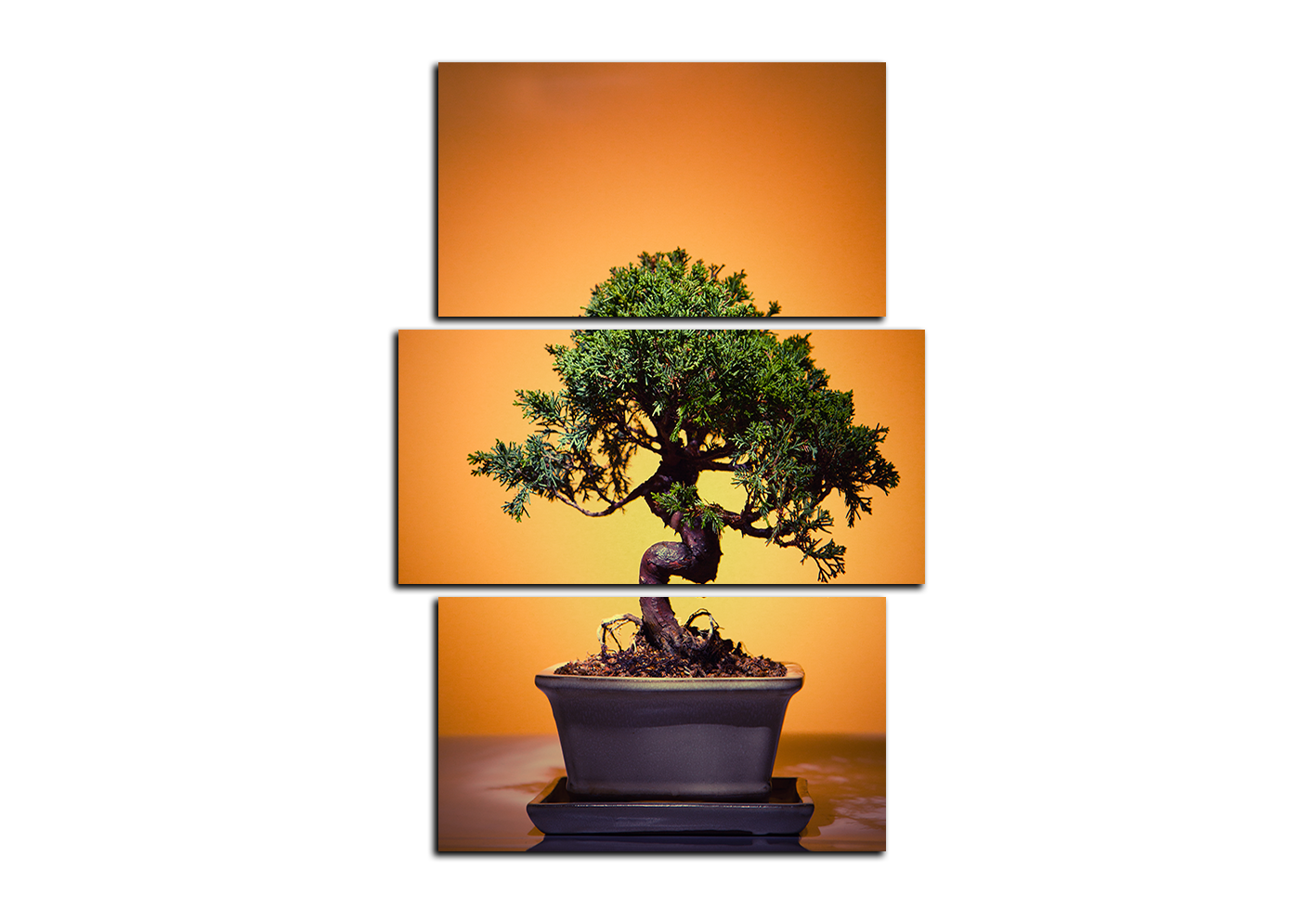 Obraz na plátně - Bonsai - obdélník Obraz na plátně - Bonsai - obdélník
